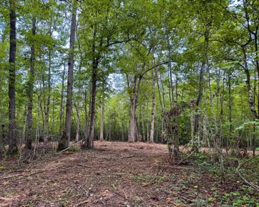 Tract 7 Sheep Ranch Road
