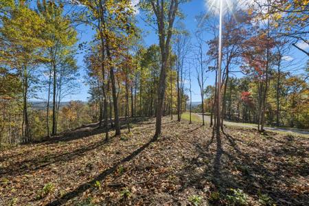Tract 3 Off Of Sheep Ranch Road
