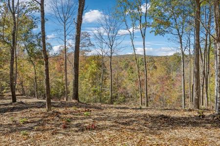 Tract 9 Off Of Sheep Ranch Road
