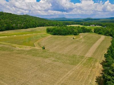 93 Acres Thorn Gap Rd