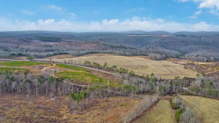 Possum Trot Road - Tract 1