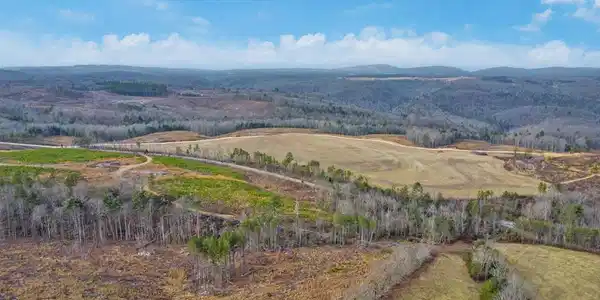 Possum Trot Road - Tract 1