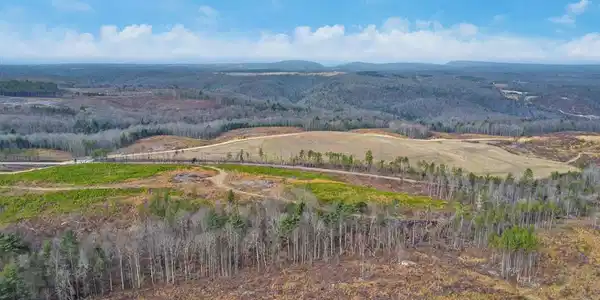 Possum Trot Road - Tract 5