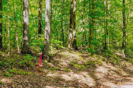 Lot 3 Bolestown Loop