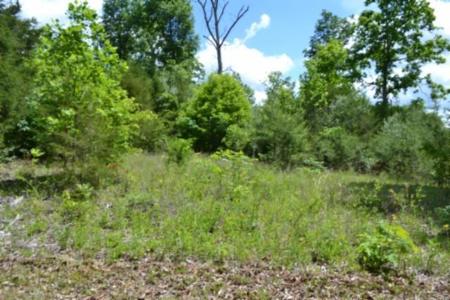 31.22ac Beauchamp Rd