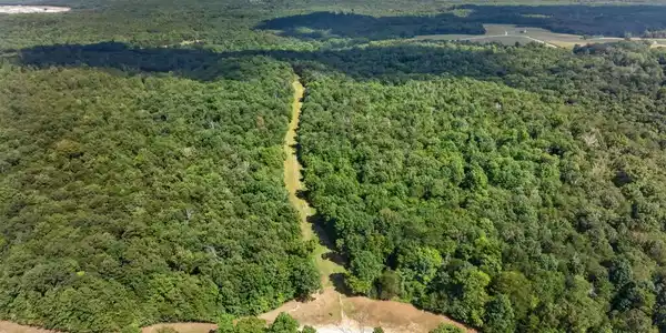 103 ACRE Halter Ct