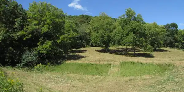 14ac Hartsville Rd