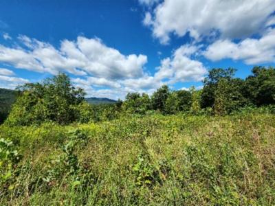 14.34ac Tomahawk Rd