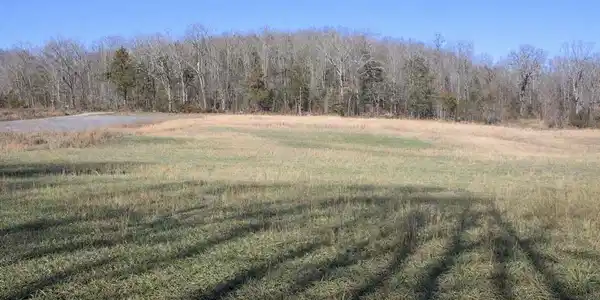 305 H&H Rd.