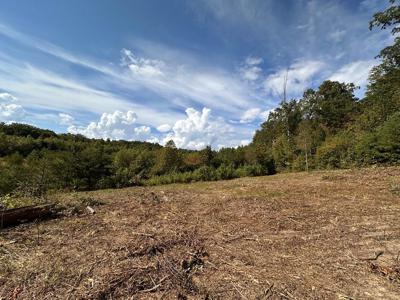 13.44 Ac Chestnut Ridge Rd