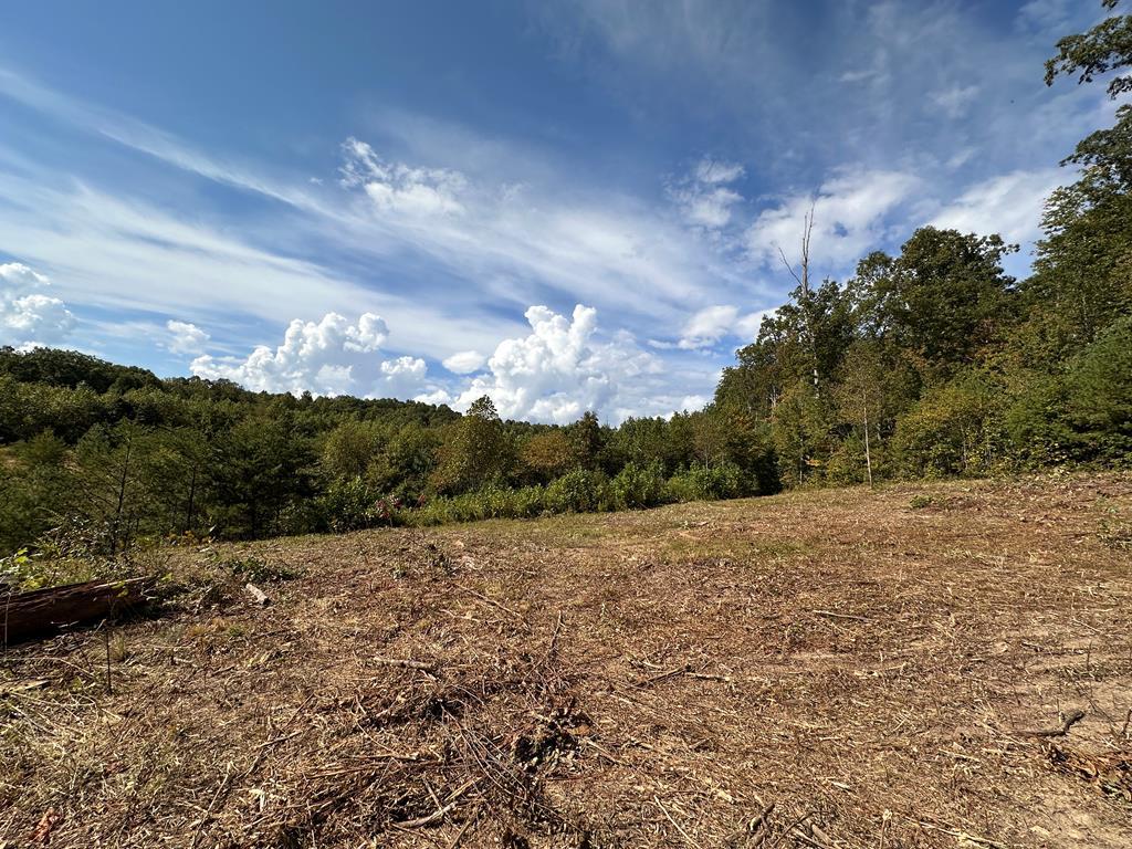 Image 1: Main View