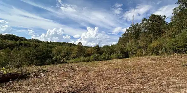 13.44 Ac Chestnut Ridge Rd