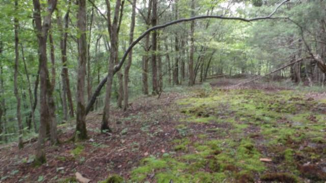 Image 1: Main View