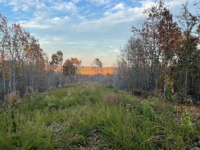 Lot 88 Overlook Trail