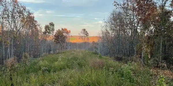 Lot 88 Overlook Trail