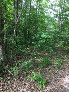 Lot 48 Buckeye Lane