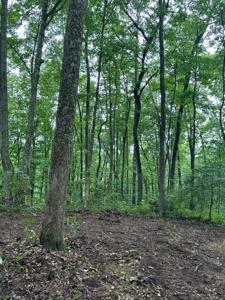 lot 340 Deep Branch