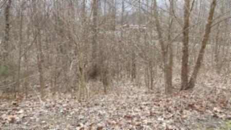 5.51ac Beaver Lane