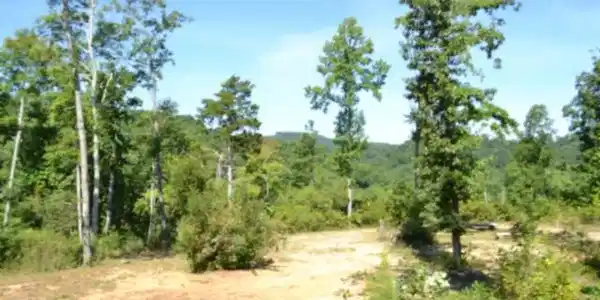 9.85ac Rock Springs Rd