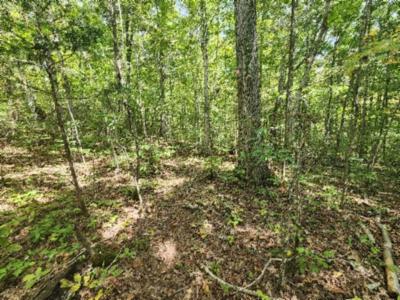 16.22ac Glenobey Rd