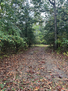 Old Hwy 42 S