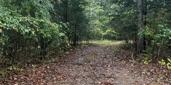 Old Hwy 42 S