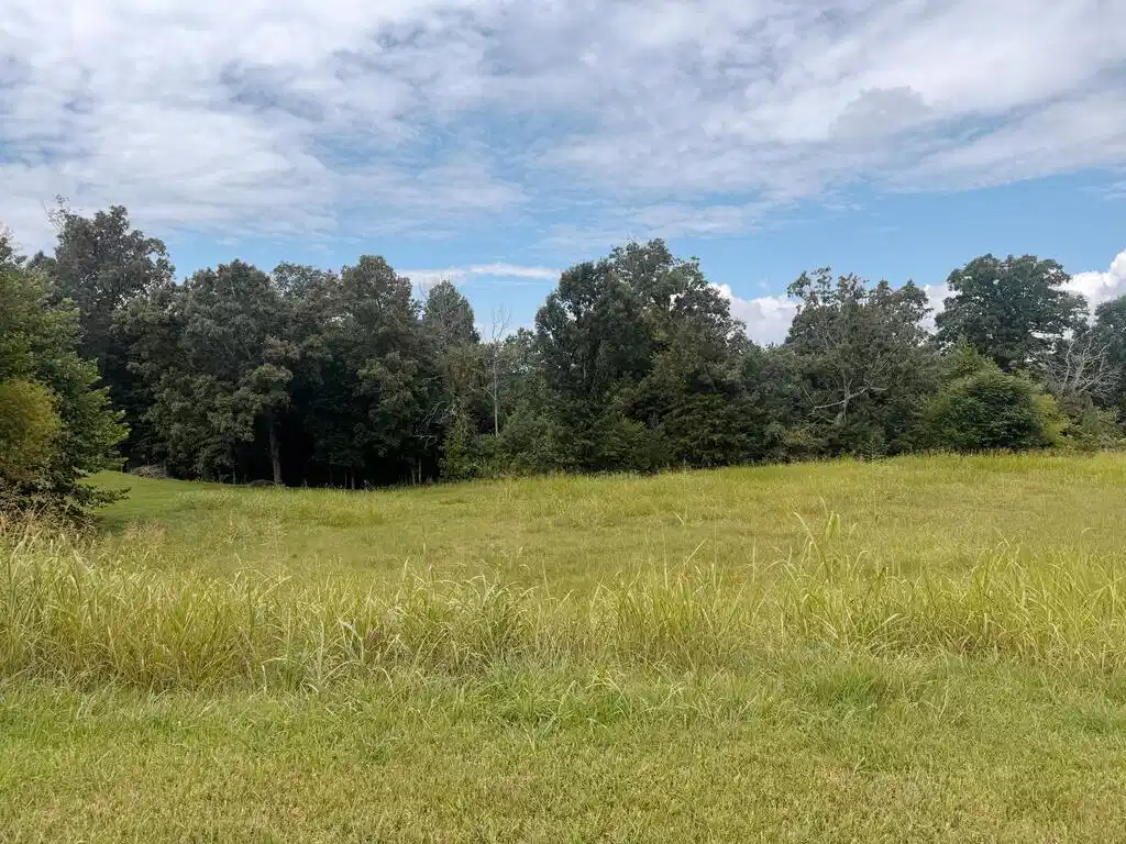 Image 1: Main View