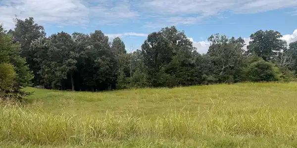 172 Black Horse Trl