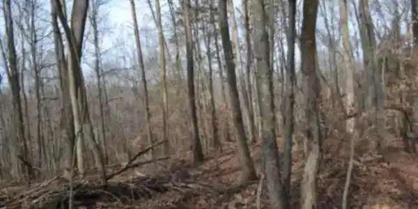 6.49ac Garrett Town Lane