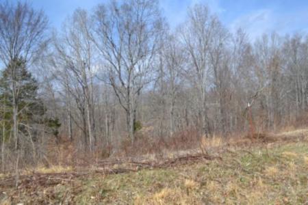 4.13ac Hush Hollow Lane