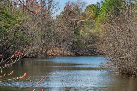 261AC Rocky River Rd