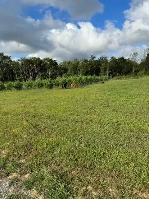 Image 1: Main View