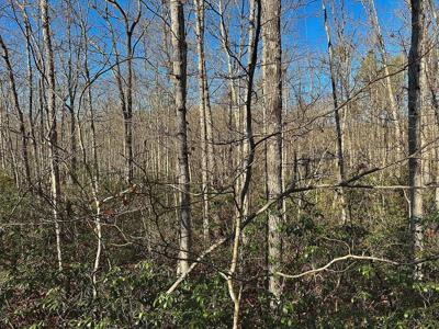 Lot 35 Wilson Ridge Road