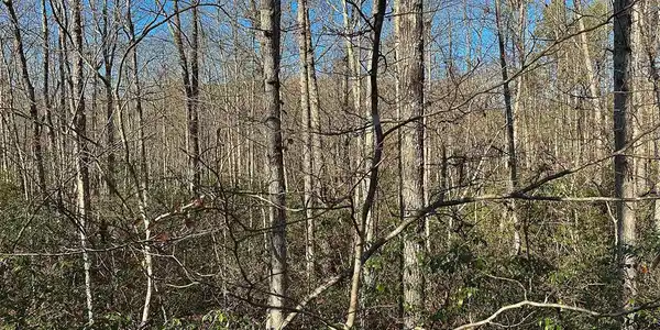 Lot 35 Wilson Ridge Road