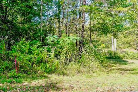 Lot 4 Bolestown Loop