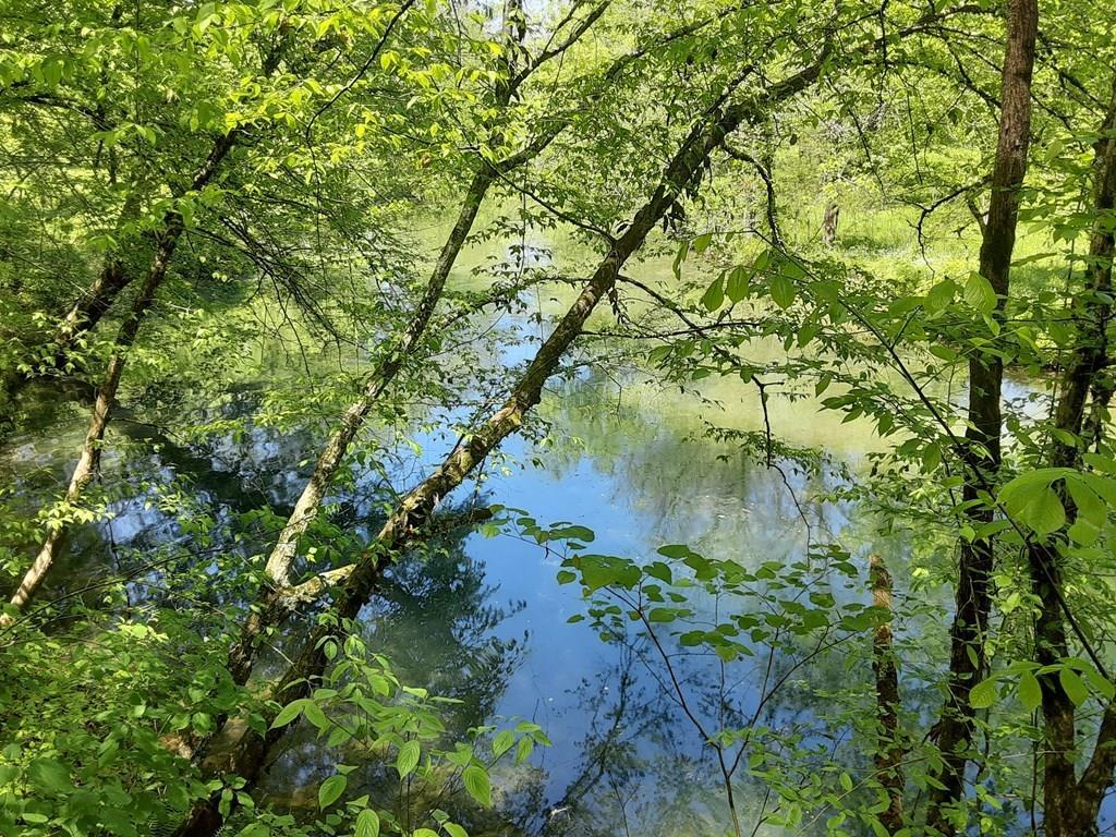 Image 1: Main View