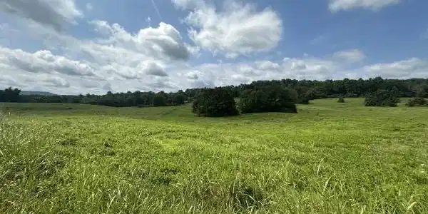 Plum Creek Rd