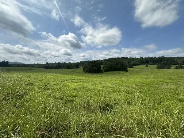 Image 1: Main View