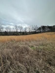 Lot 73 Hidden River Rd