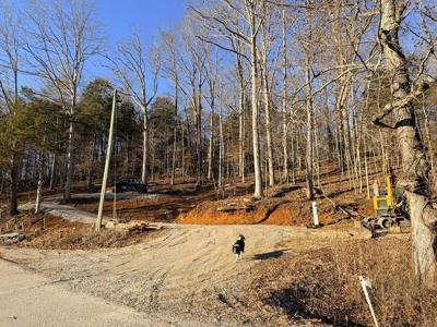 1260 Wolf River Road