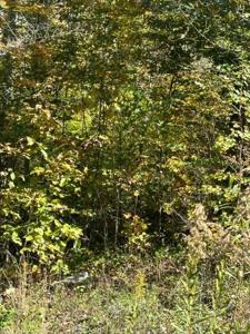 Lot 14 Cheyenne Dr