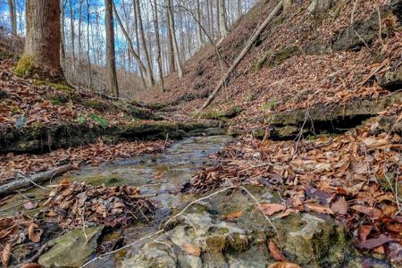 6.24 AC Hutchins Bend Rd