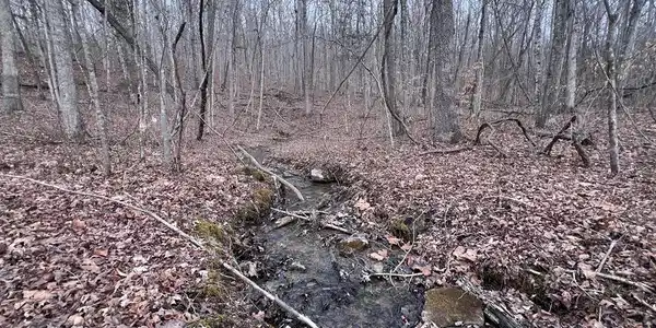 Lot 55 Buffalo Cove Ln