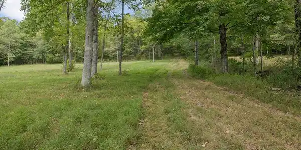 46.19 Ac Funn Branch Rd