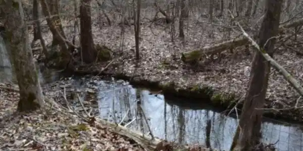 87+/-ac Boles Rd