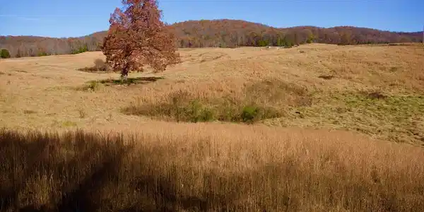 Tract 7 West Of Barlow Rd