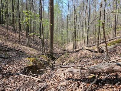5 Acres Benton Tidwell Rd