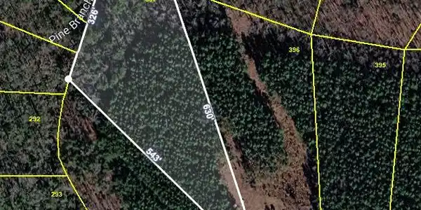 Sugar Pine Lane