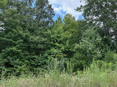 Lot 89 Bobcat Lane