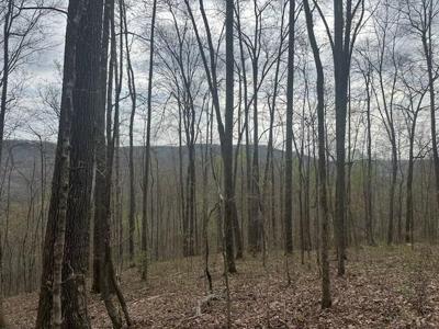 Lot 84 Buckeye Lane